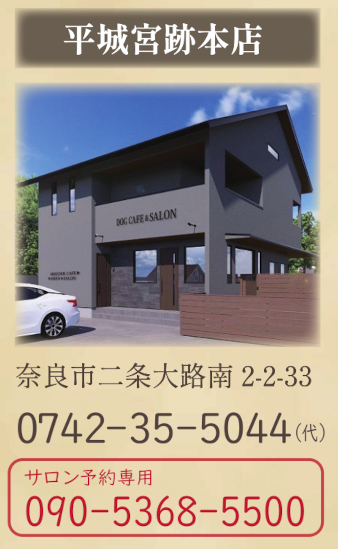 愛犬サロン本店 ＆ Dogcafeぶりーだーかふぇ