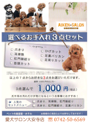 選べるお手入れ３点セット１０００円 - 愛犬サロン大安寺店